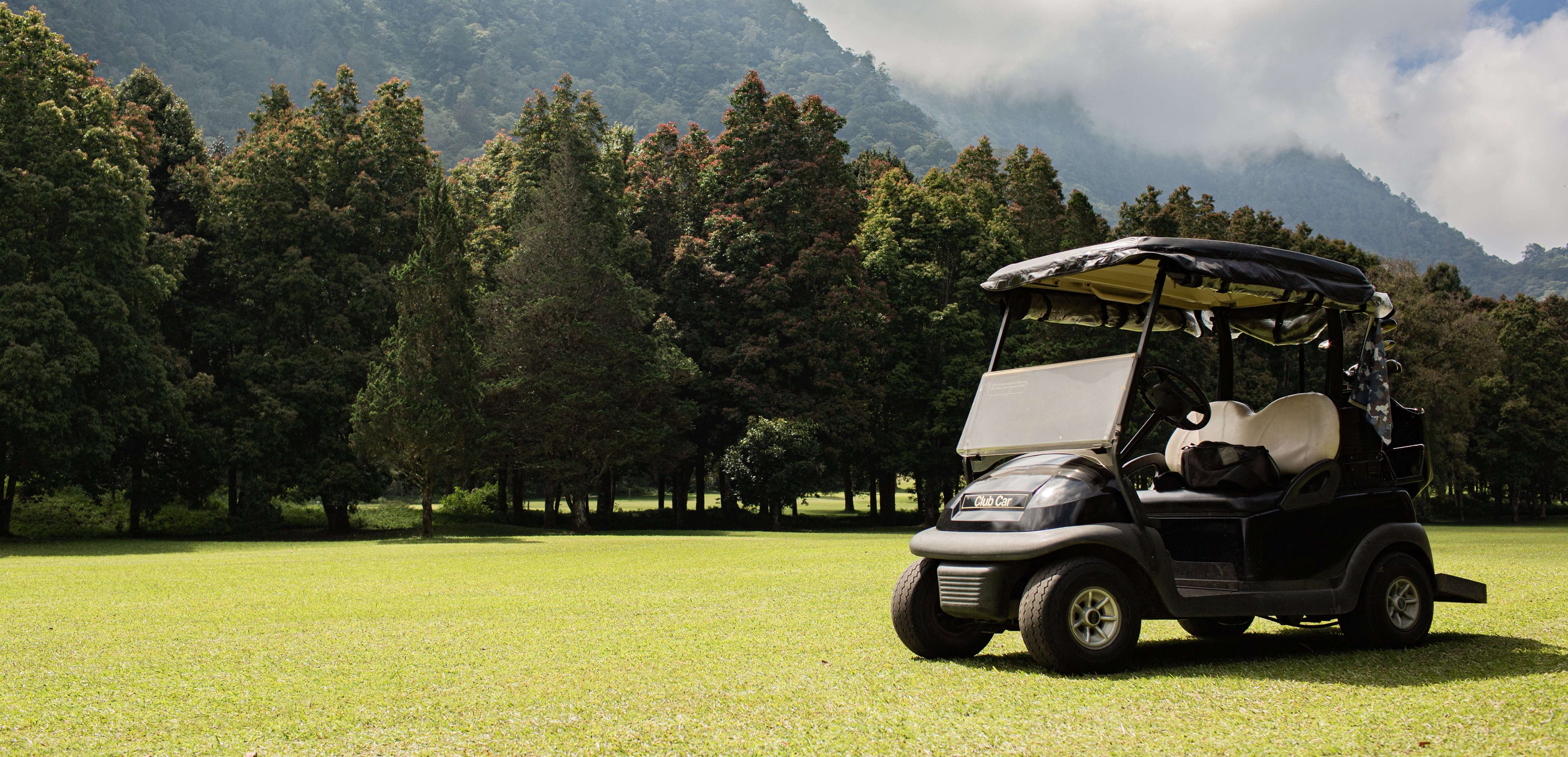 Transfer & Organization